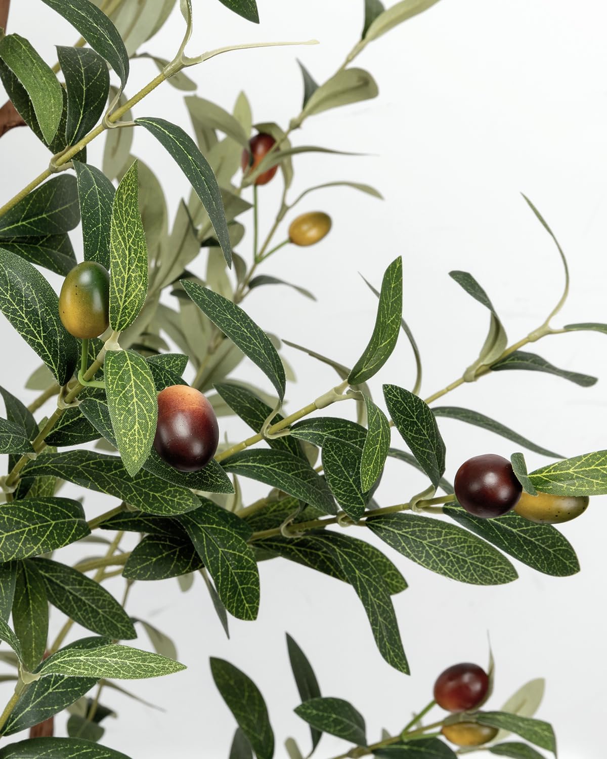 Elegant Indoor Olive Tree Decor
