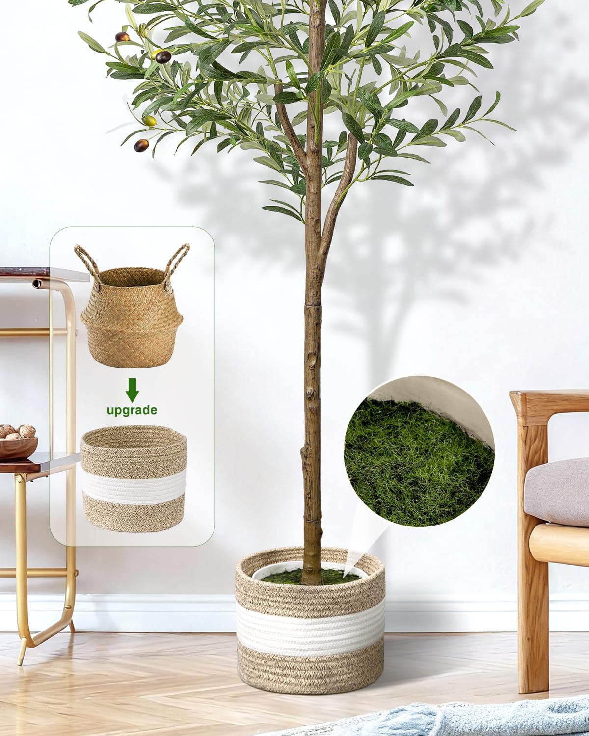 Elegant Indoor Olive Tree Decor