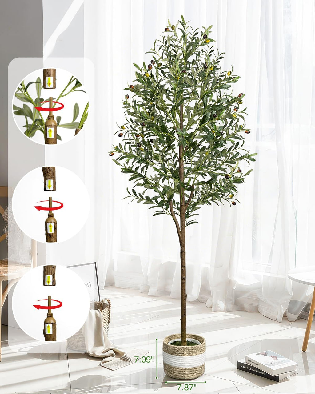 Elegant Indoor Olive Tree Decor