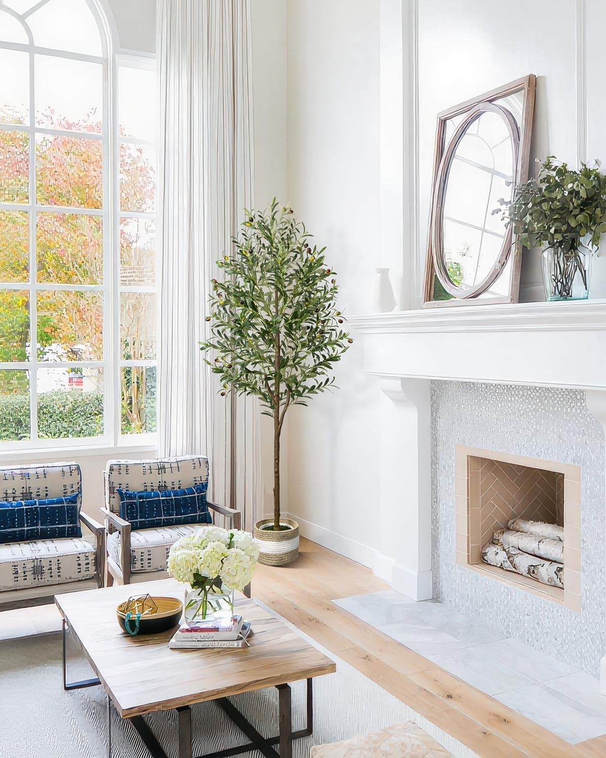 Elegant Indoor Olive Tree Decor